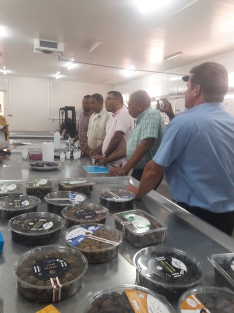 Consultative and prospecting meetings for SIPPO - ASMEX and GIZ cooperation in the dates sector